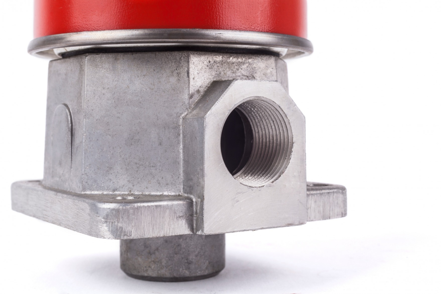 El Mundo de los Sellos - 03